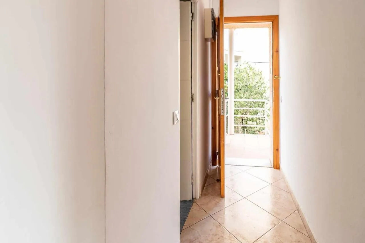 Les Algues Encantador Apartamento En El Centro Girona Spain